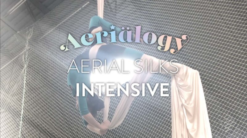 Spring 2020 Aerial Silks Intensive